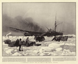 Norweski statek uszczelniający w ogniu w regionach arktycznych